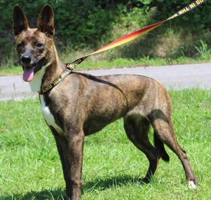Photo of Crouton 41688