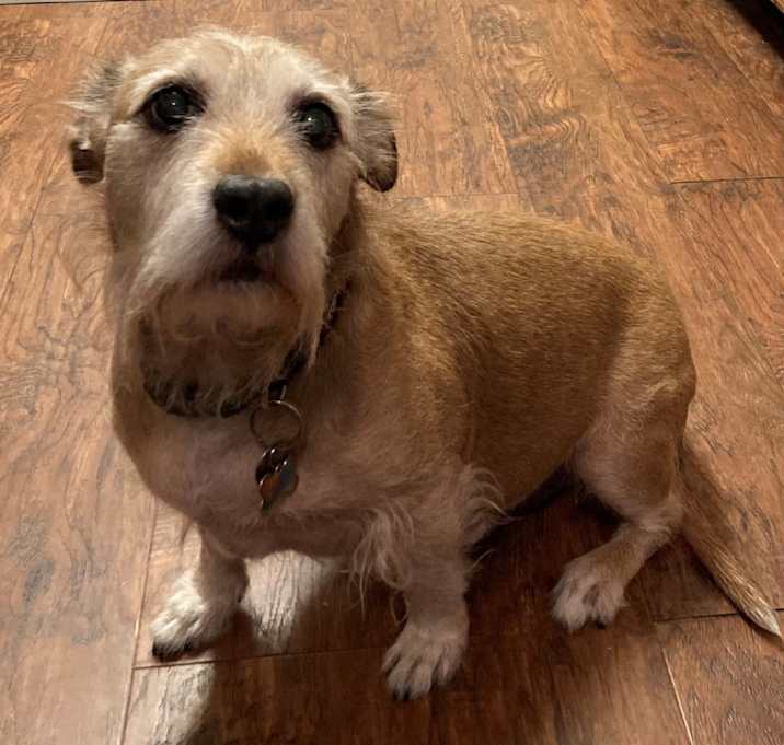 Photo of Captain