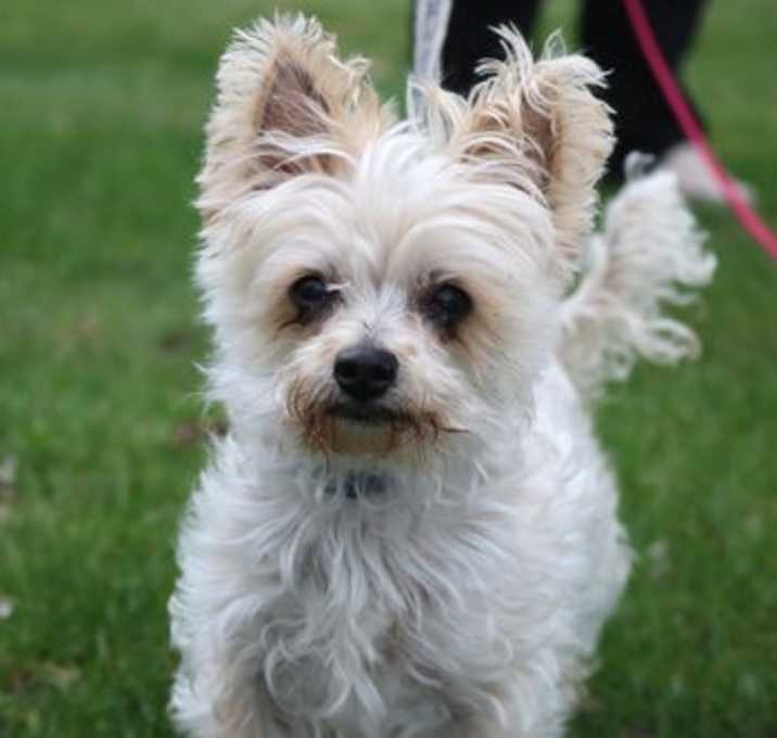 Photo of Tess