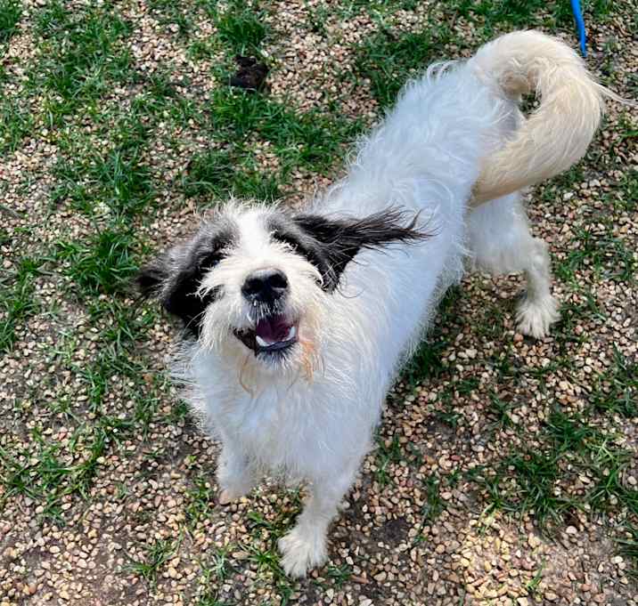 Photo of Bentley