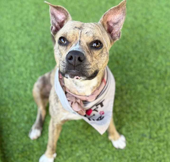 Photo of Mama Millie