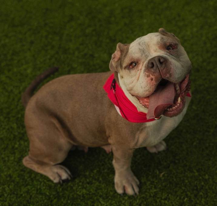 Photo of Belle 