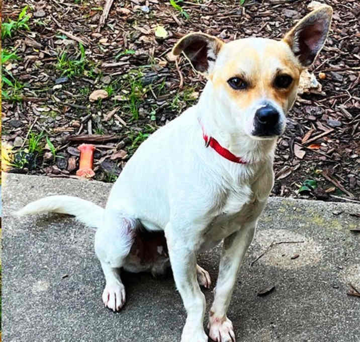Photo of Linus (GA)