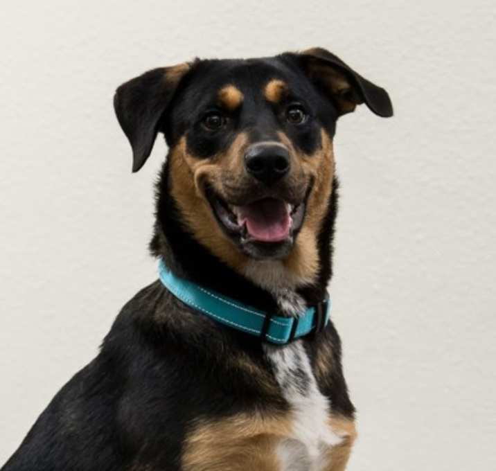 Photo of Little Bear