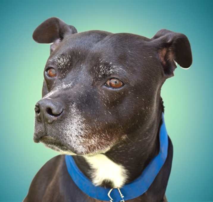 Photo of JACK