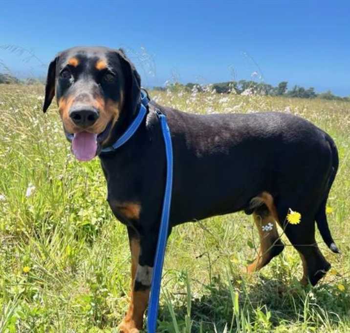 Photo of GUS