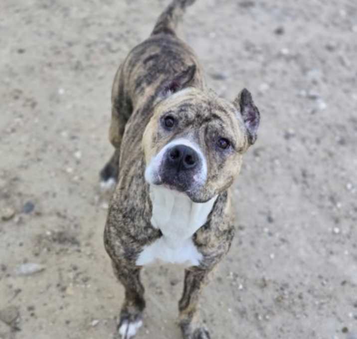 Photo of Zara