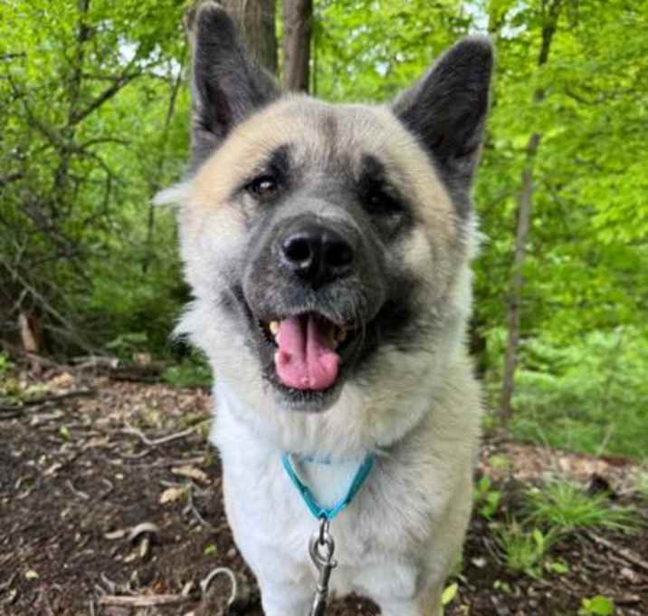 Photo of Ursa