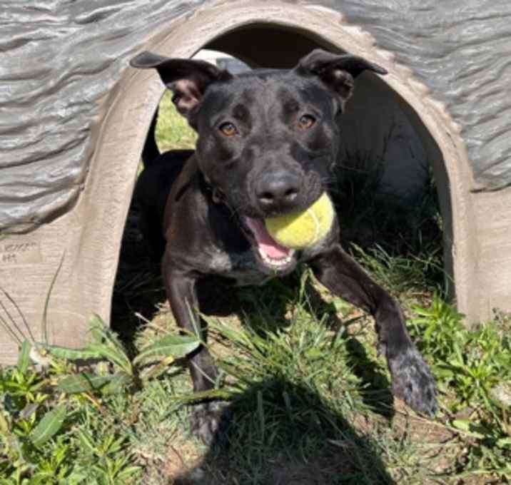 Photo of Mabel