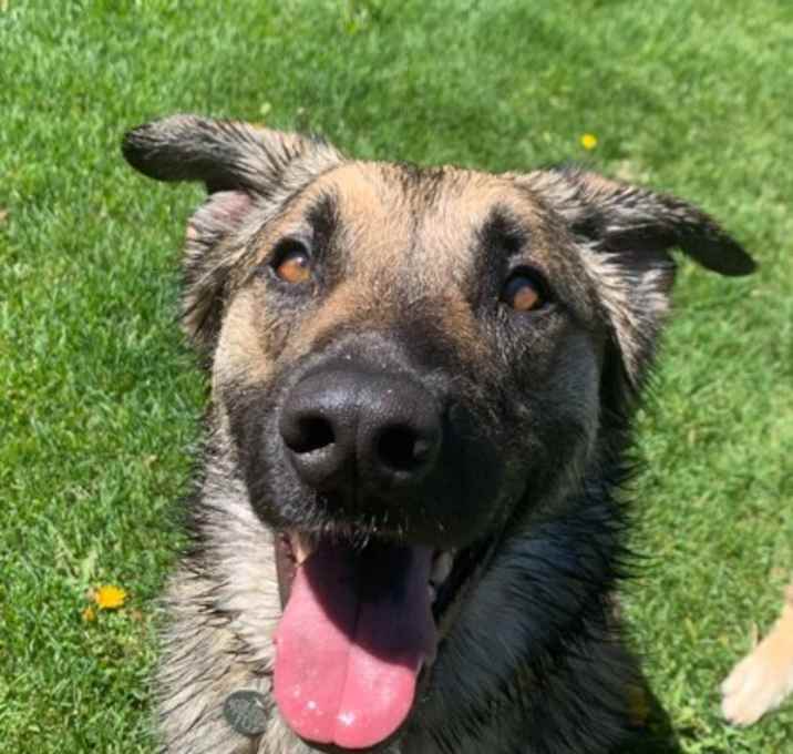 Photo of Oogie