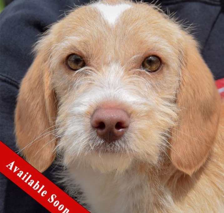 Photo of Oakley
