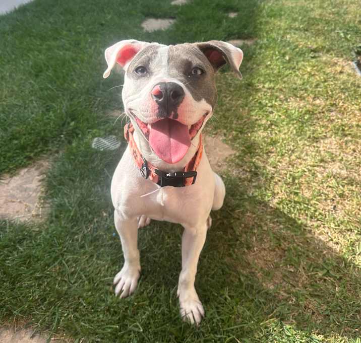 Photo of Cora