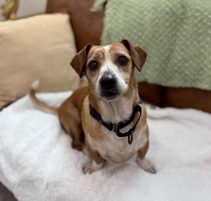Photo of Tuck