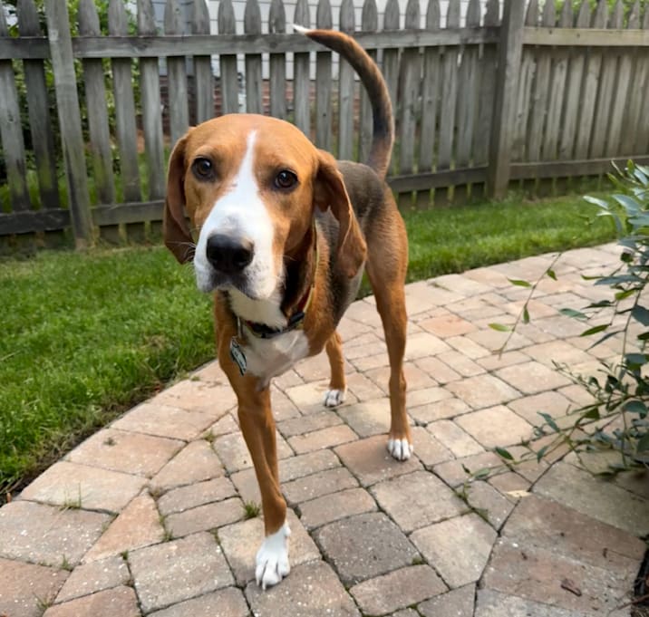 Photo of Slap Jack