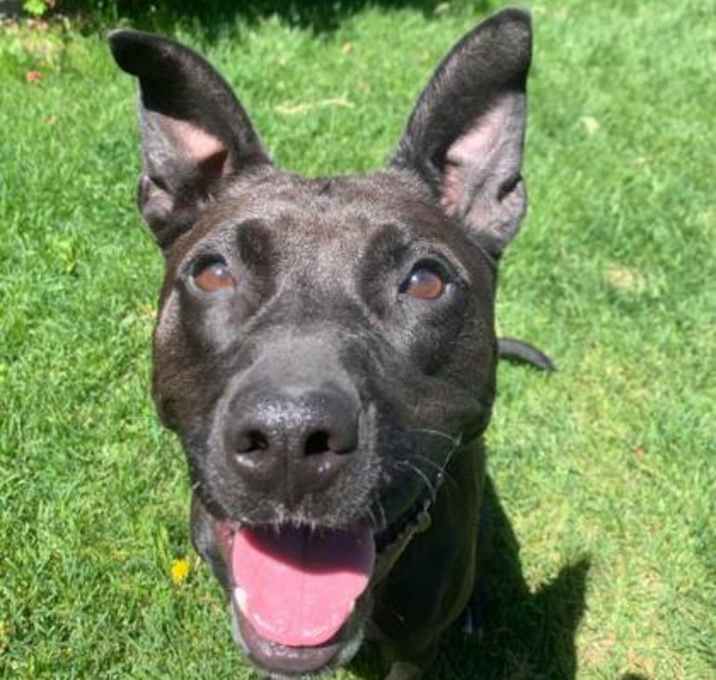 Photo of Athena