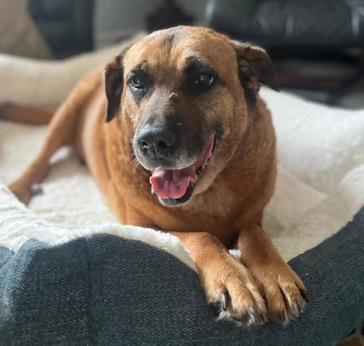 Photo of Maddie @ Foster