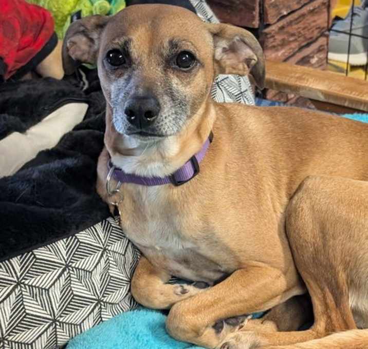 Photo of Jasmine Jane