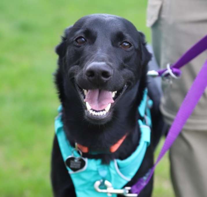 Photo of Marley