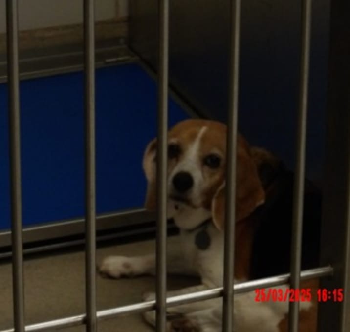 Photo of Susie