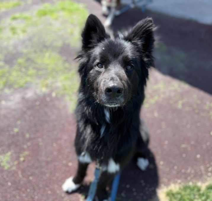 Photo of Turbo