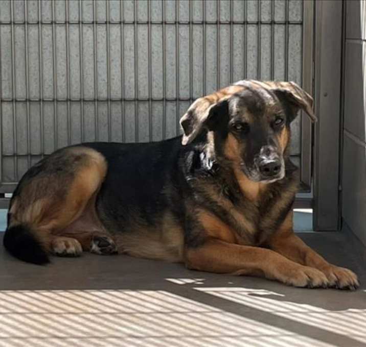 Photo of *LUCKY