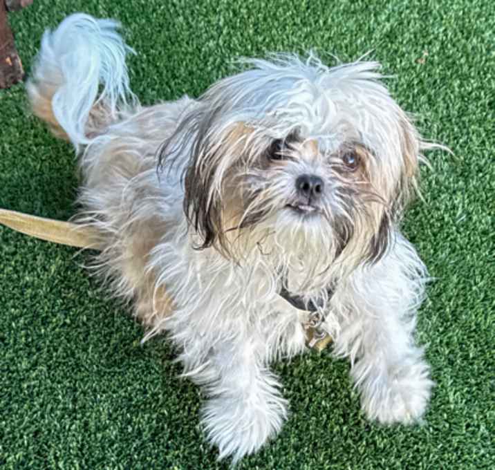 Photo of HEY ZEUS