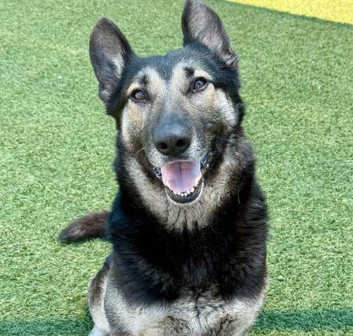 Photo of LUNA