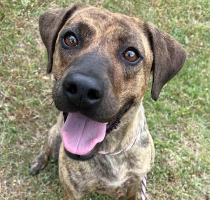 Photo of RUBY