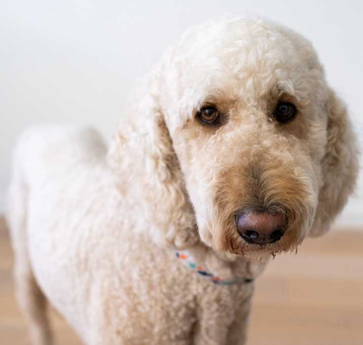 Photo of Marty