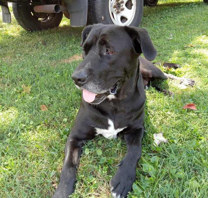 Photo of Benny