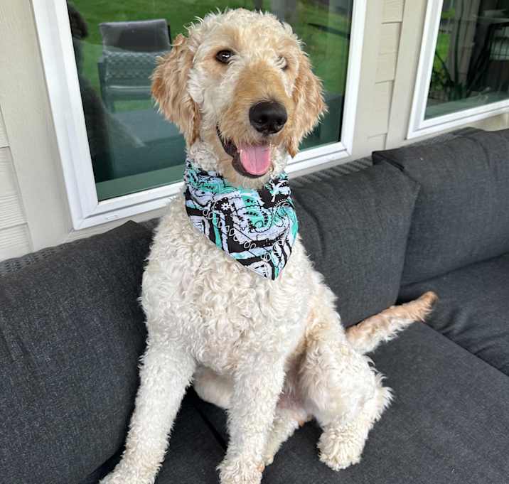 Photo of Harold
