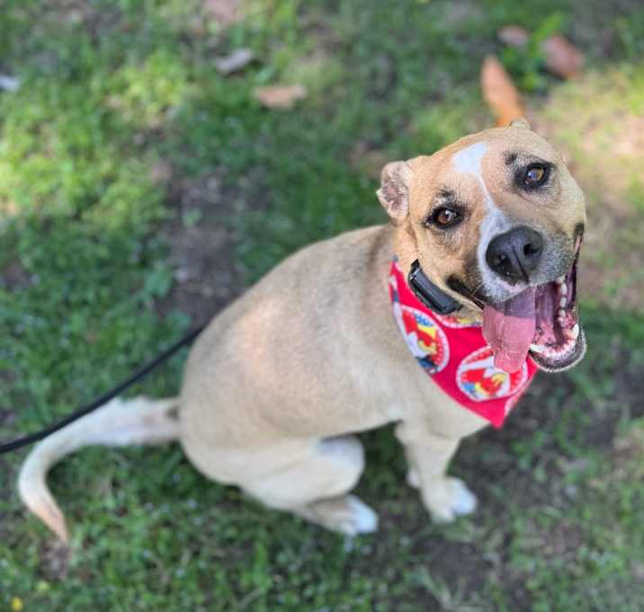 Photo of Juno