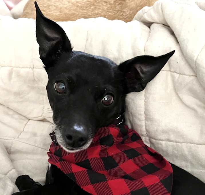 Photo of Lady Bird