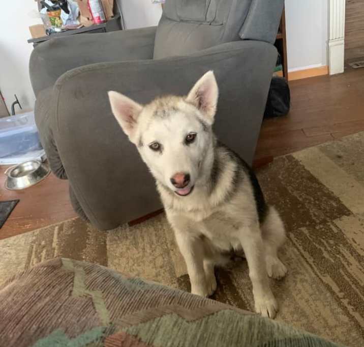 Photo of Misty