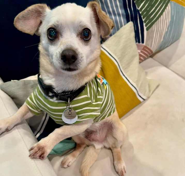 Photo of Woody Wrangler
