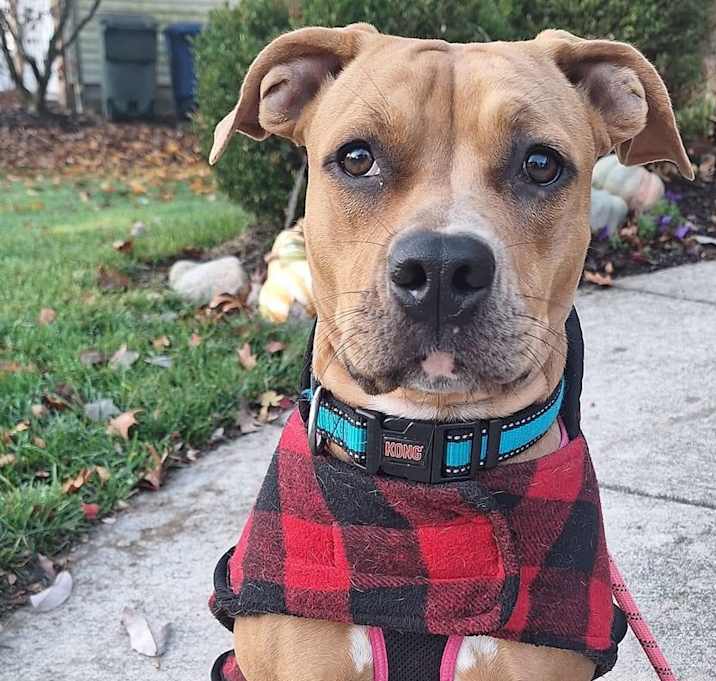 Photo of Nala (FKA Tiana)