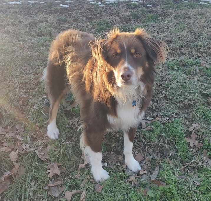 Photo of Remy