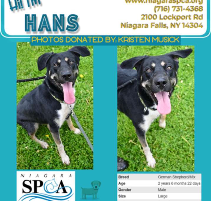 Photo of Hans
