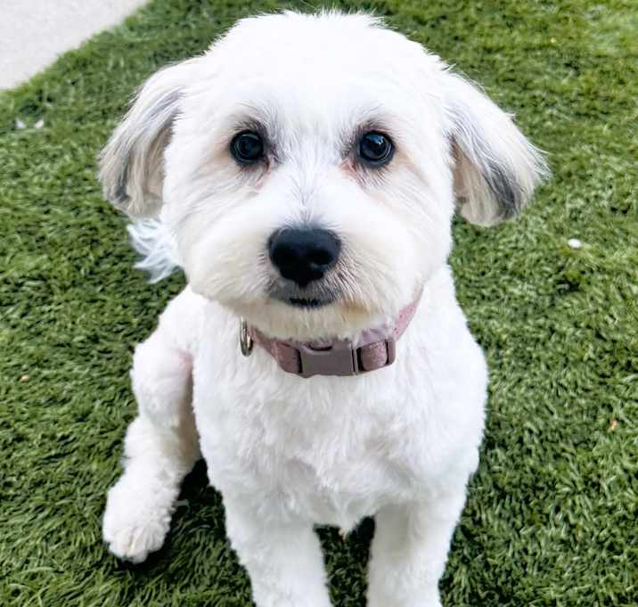Photo of KIKO