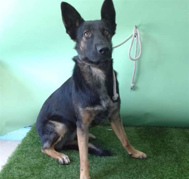 Photo of XENA