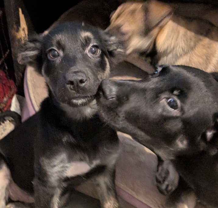 Photo of Molly