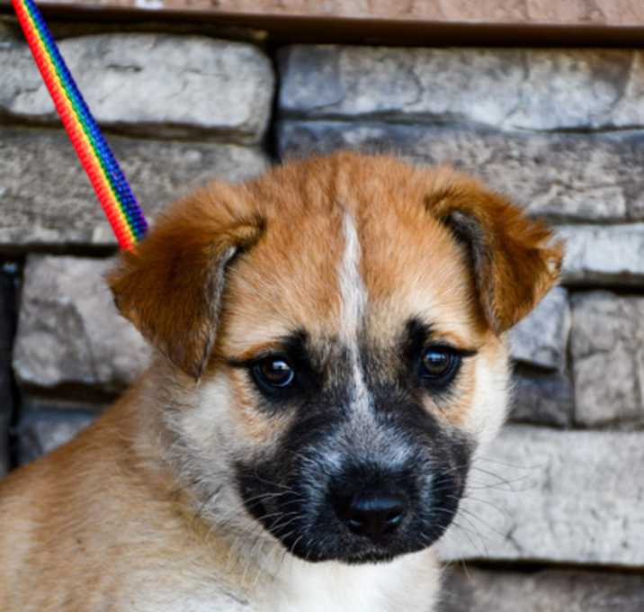 Photo of Clyde