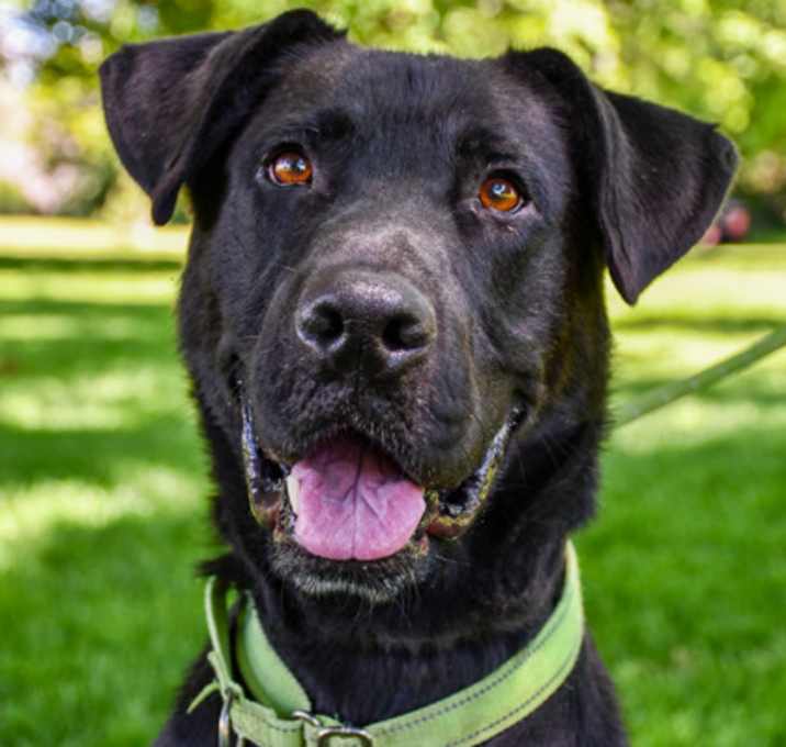 Photo of Maximus