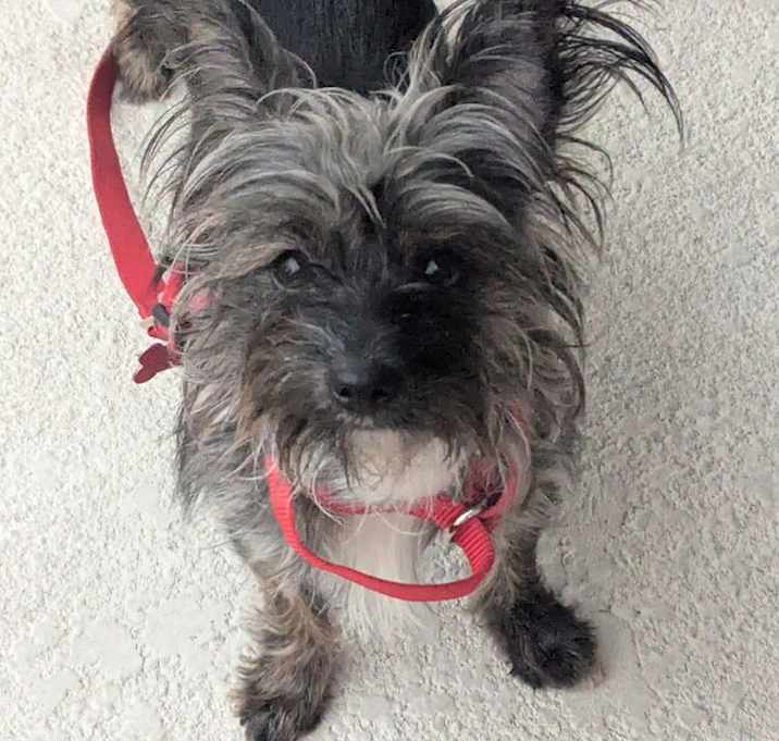 Photo of Tammy