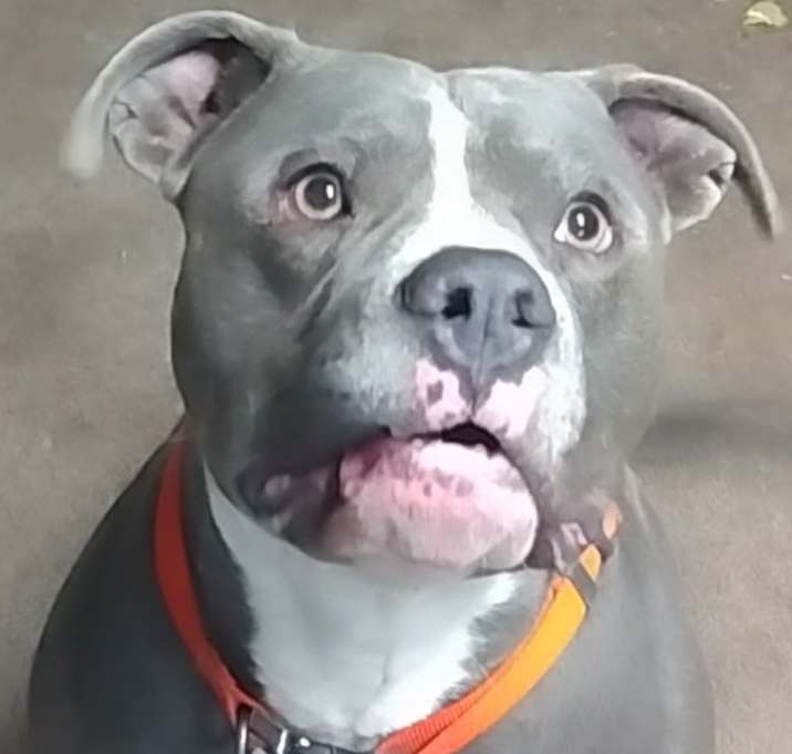 Photo of Diesel Lee