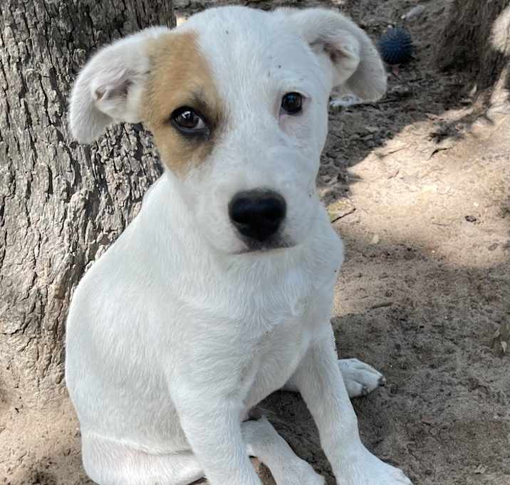 Photo of Storm