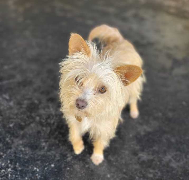 Photo of Clarice