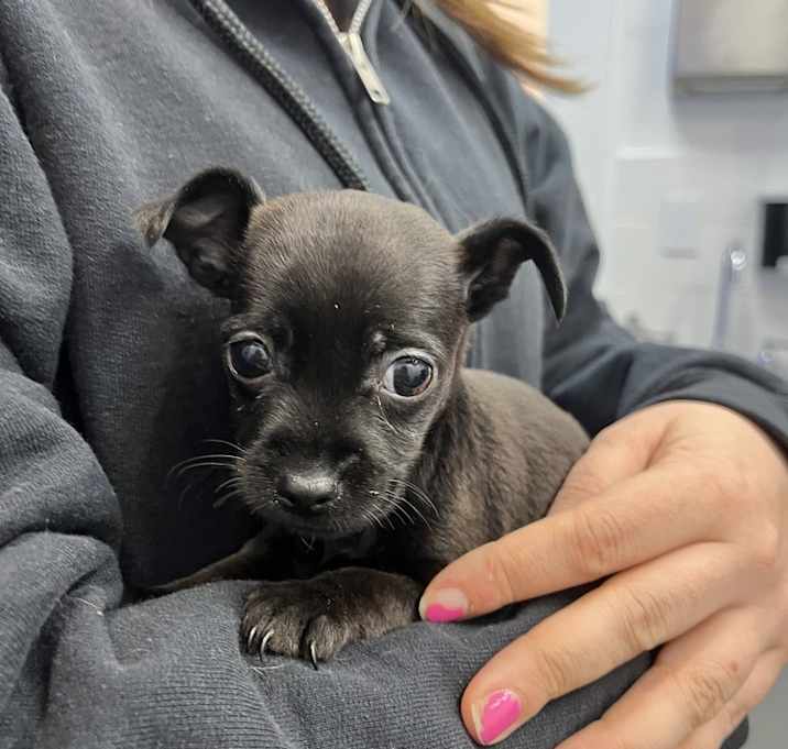 Photo of Minnie