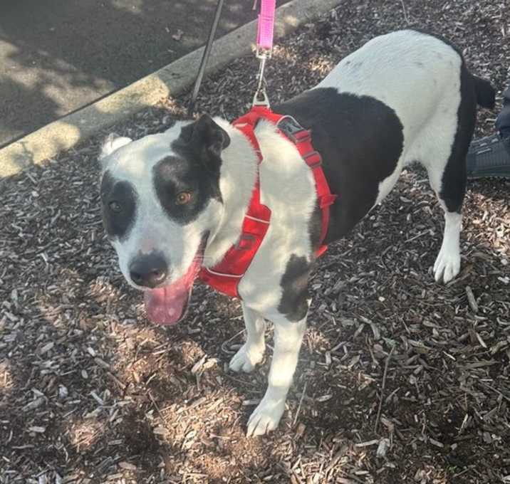 Photo of Betty