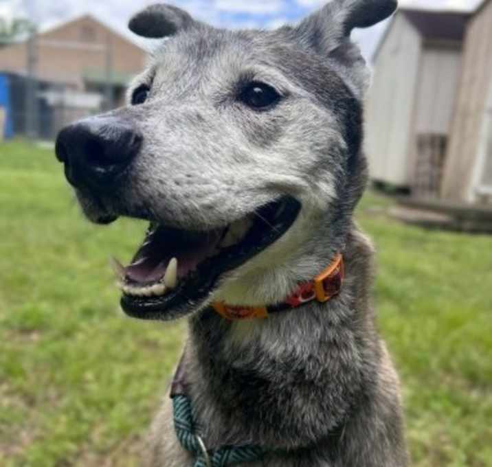 Photo of Roxi